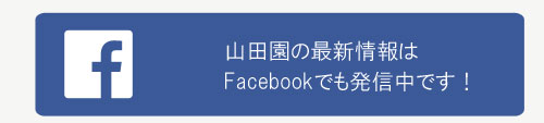 山田園のFacebookはこちらから！